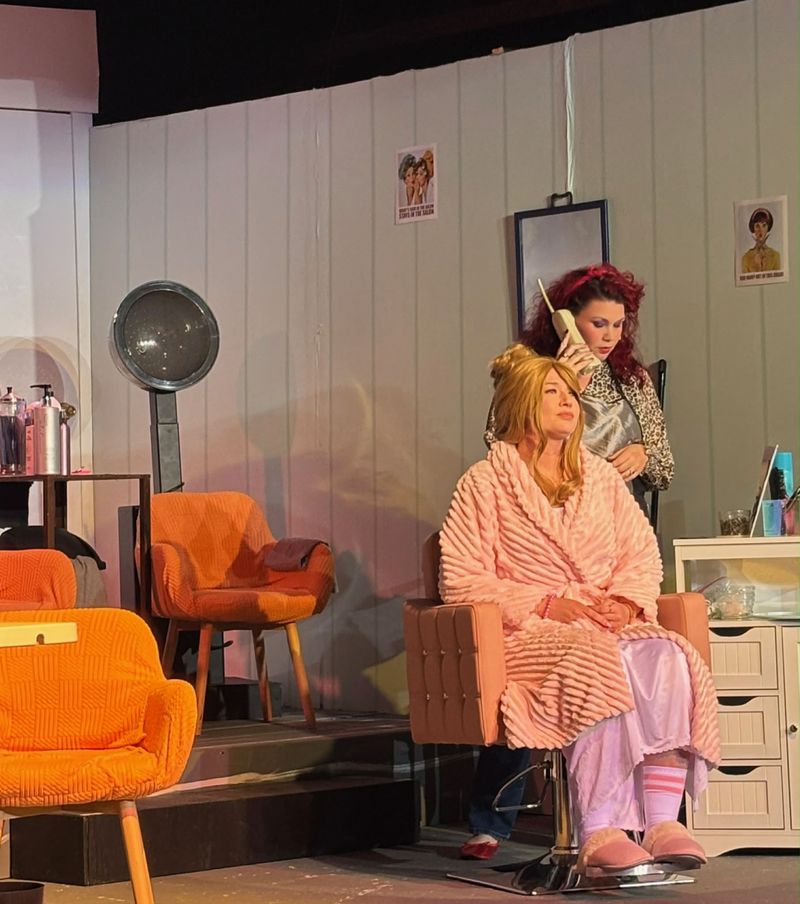 Review: STEEL MAGNOLIAS at Theatre 29 Image