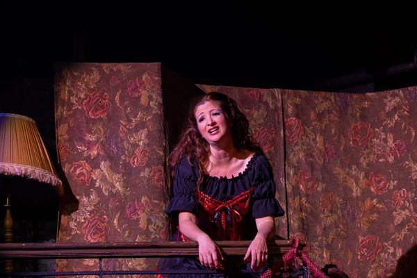 Photos: GUNFIGHT AT THE NOT-SO-OK SALOON & DOES NOT COMPUTE Double Bill at the John Cullum Theatre — photo 6 of 14