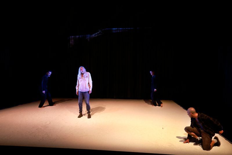 Review: THE SHEPHERD'S HUT at State Theatre Centre Image