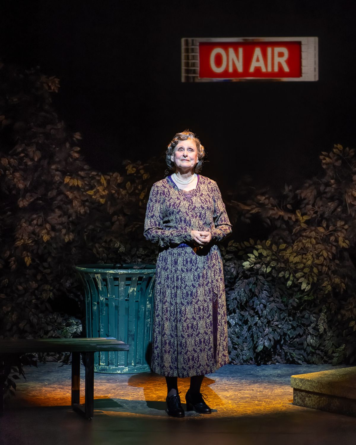 Kandis Chappell at Photos: Kandis Chappell Stars in ELEANOR at Rubicon Theatre Company