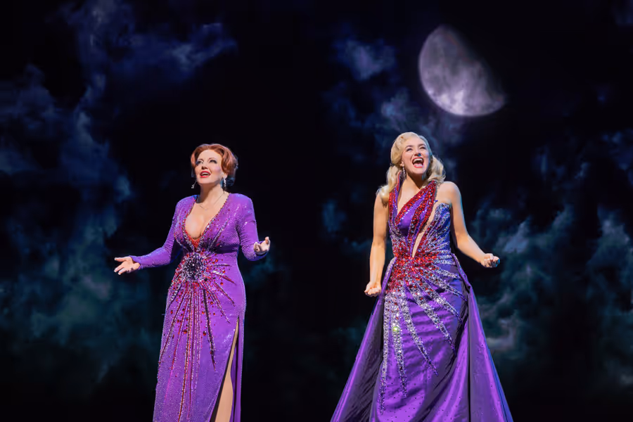 DEATH BECOMES HER Is Closing- So What Happened? Image