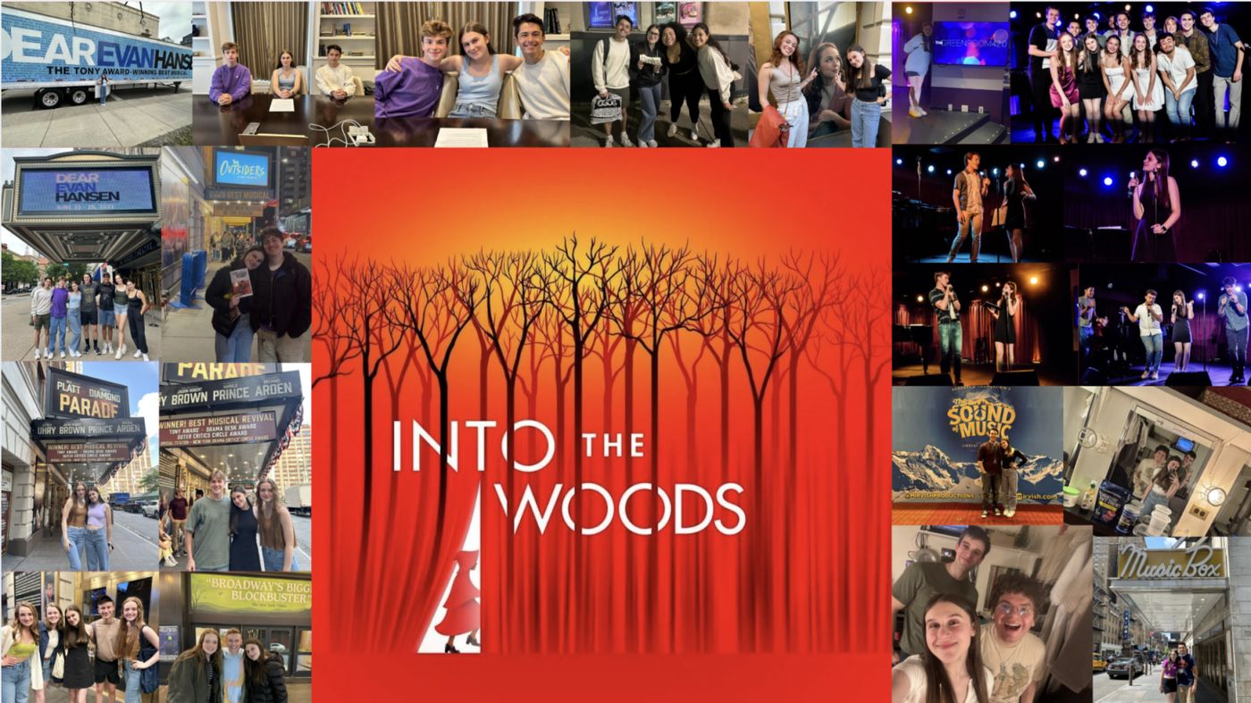 Student Blog: Moments In The Woods Image