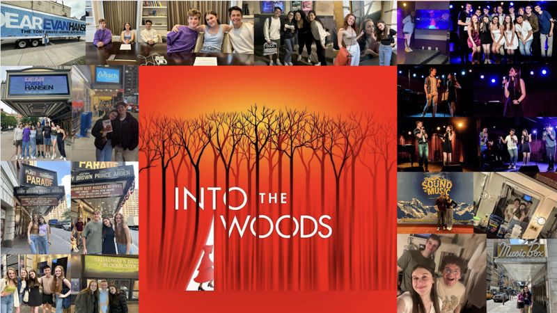 Student Blog: Moments In The Woods Image