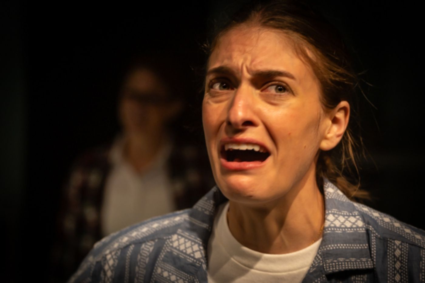 Photos: First look at Imagine Productions’ FUN HOME Image