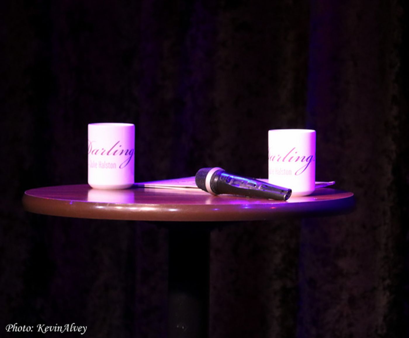 Photos: VIRTUAL HALSTON Returns with Live Episode at Birdland Featuring Paul Rudnick Image