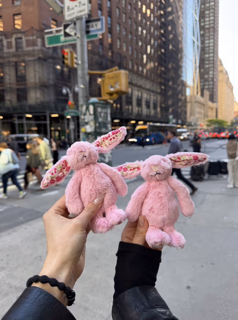 Student Blog: 54 Below Image