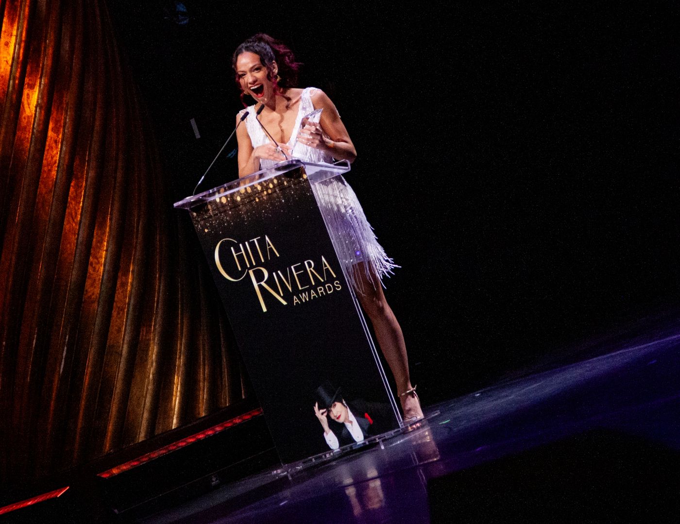 Review: THE CHITA RIVERA AWARDS Glittering, Glamorous, and Glorious at Skirball Center Image