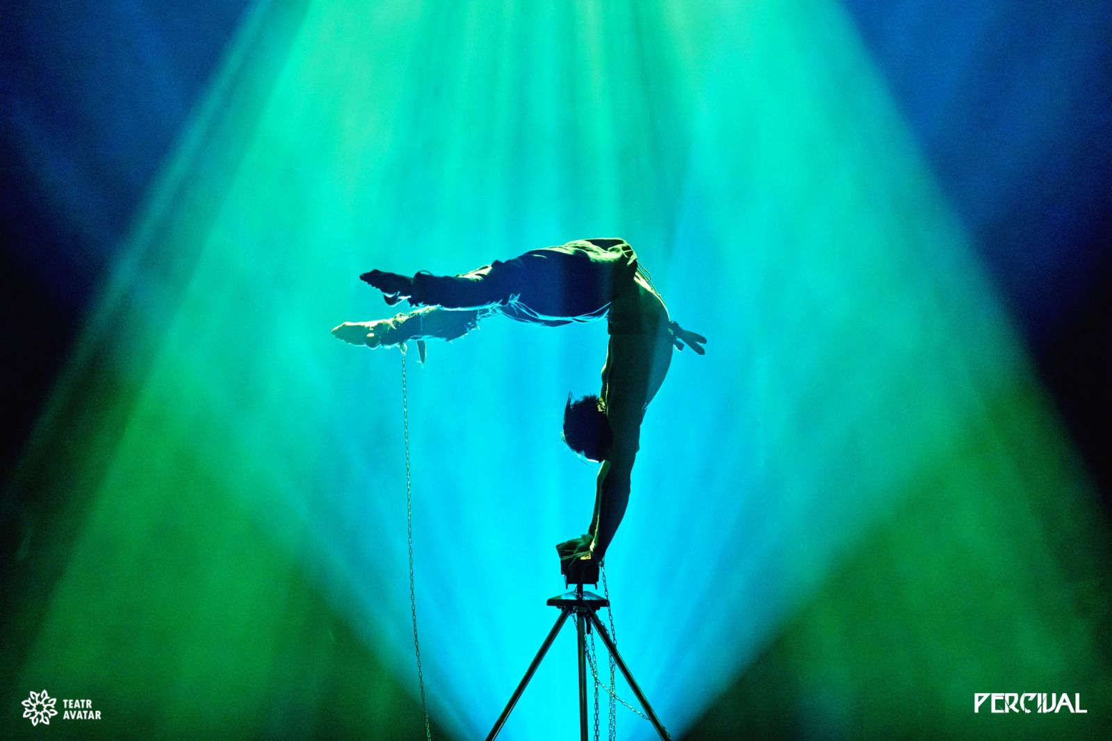 Review: WILD HUNT LIVE: THE UNTOLD STORY at Avatar Image