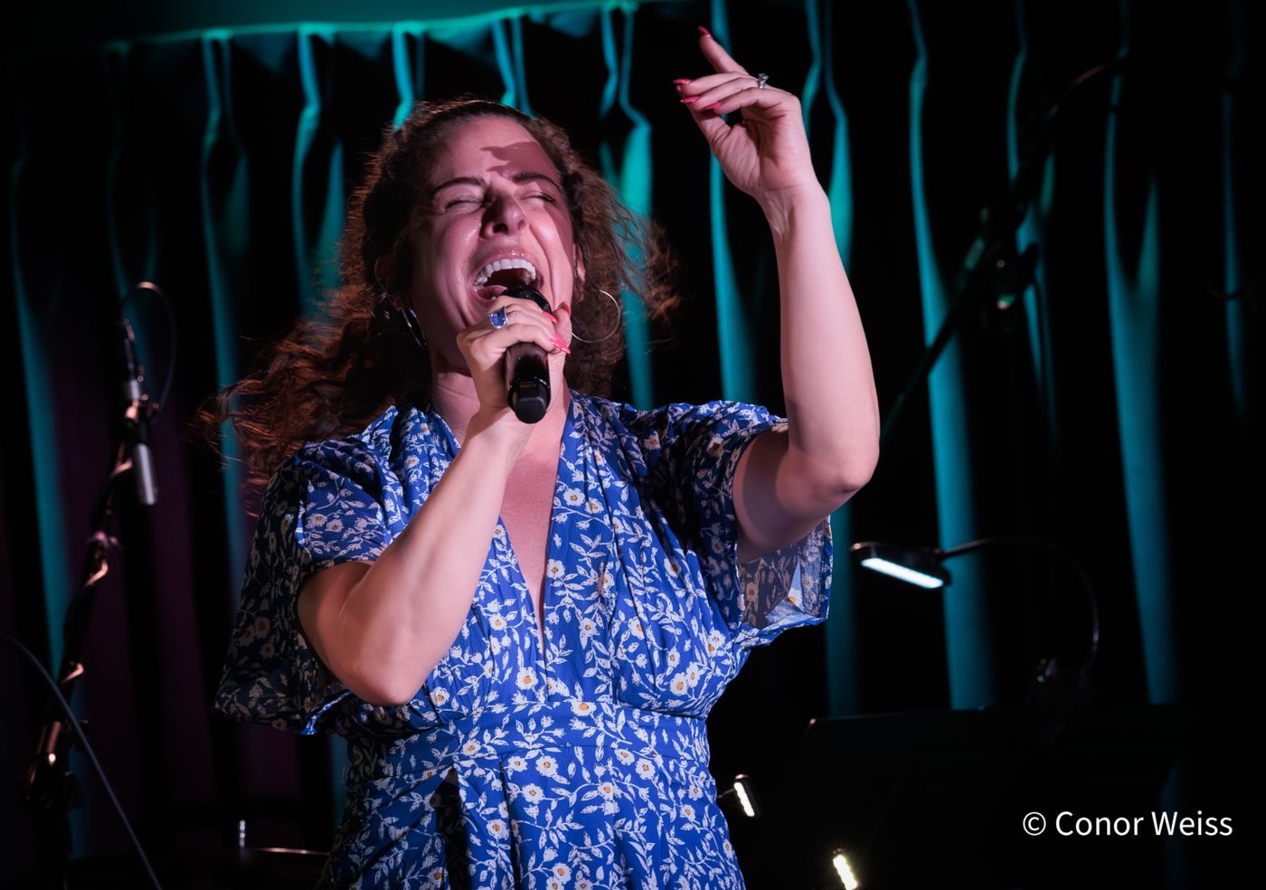 Photos: The Lineup with Susie Mosher - May 19 at the Green Room 42 Image