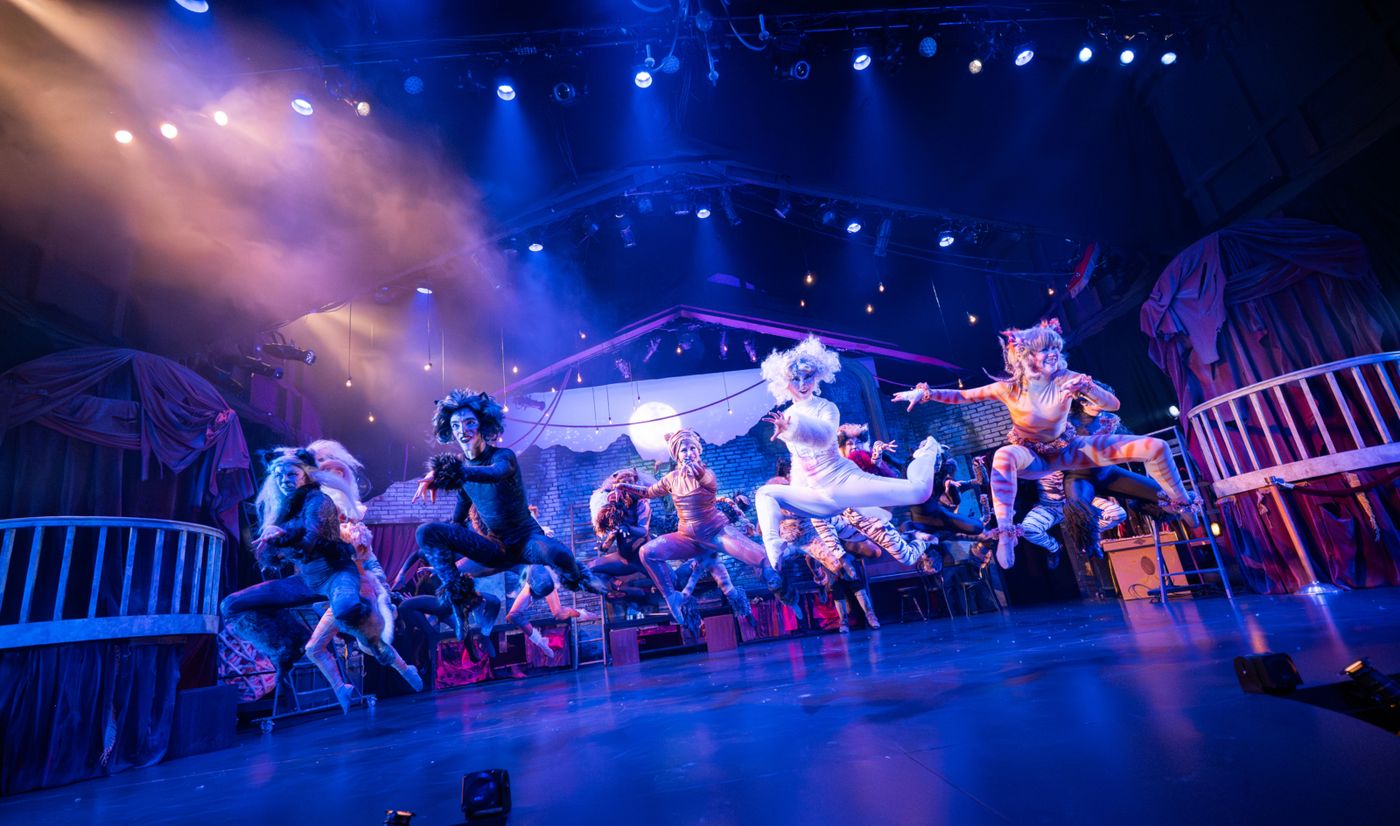 Photos: CATS At Berkeley Playhouse Image