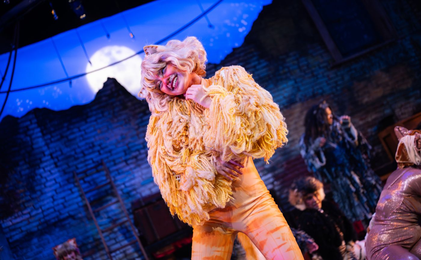 Photos: CATS At Berkeley Playhouse Image