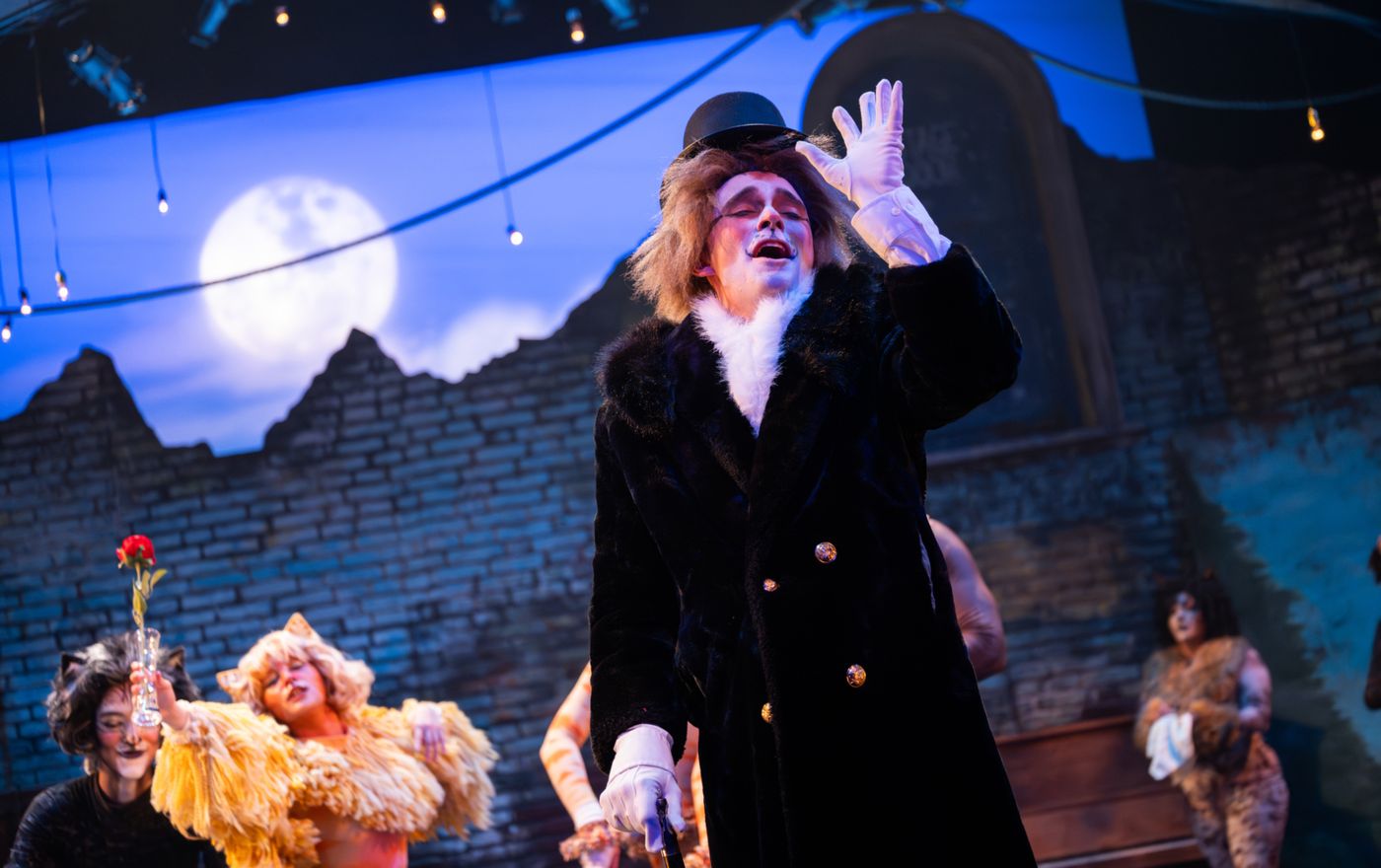 Photos: CATS At Berkeley Playhouse Image