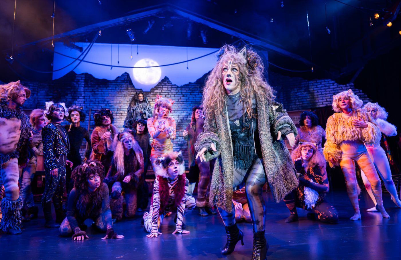 Photos: CATS At Berkeley Playhouse Image