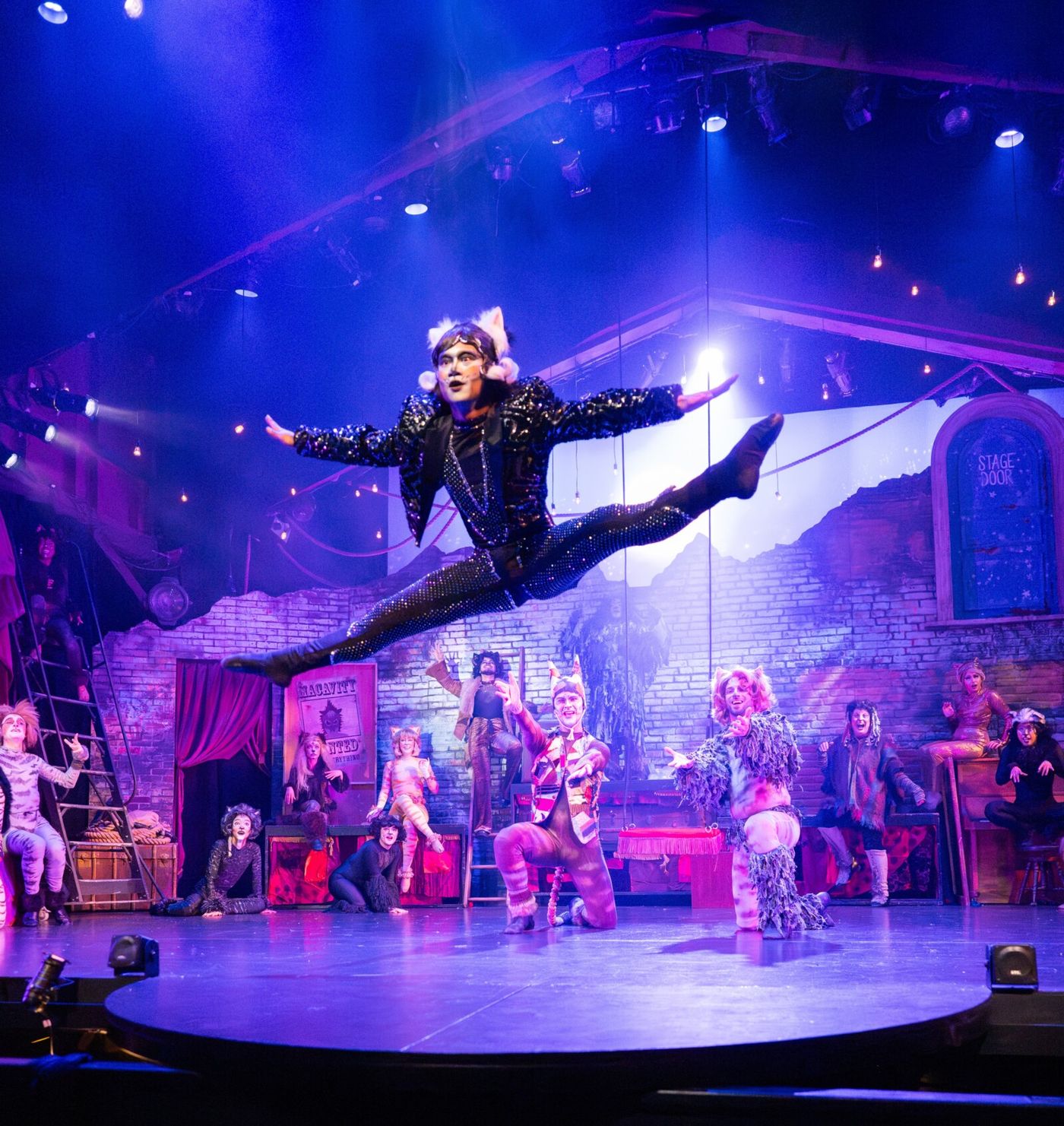 Photos: CATS At Berkeley Playhouse Image