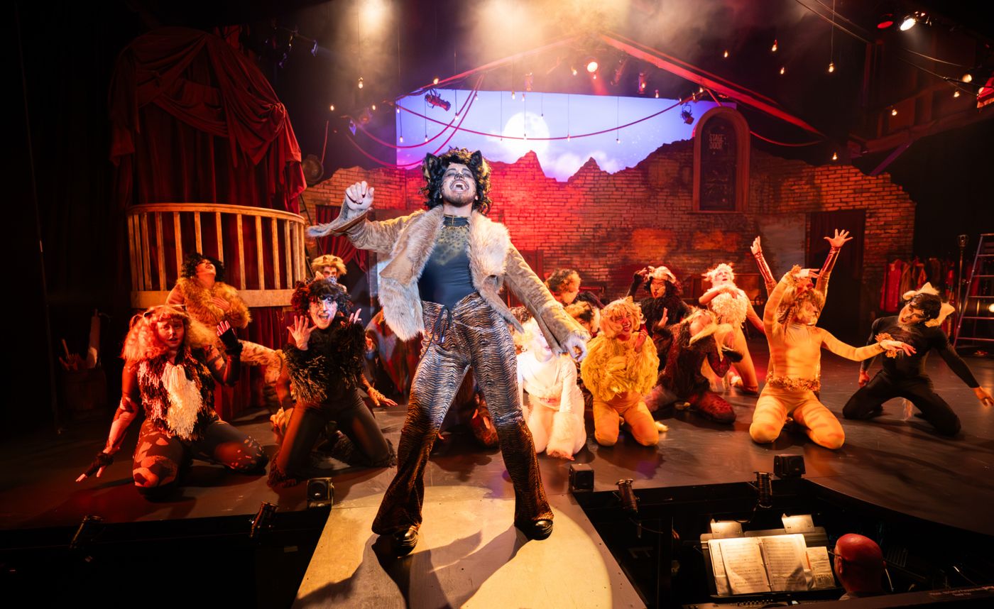 Photos: CATS At Berkeley Playhouse Image