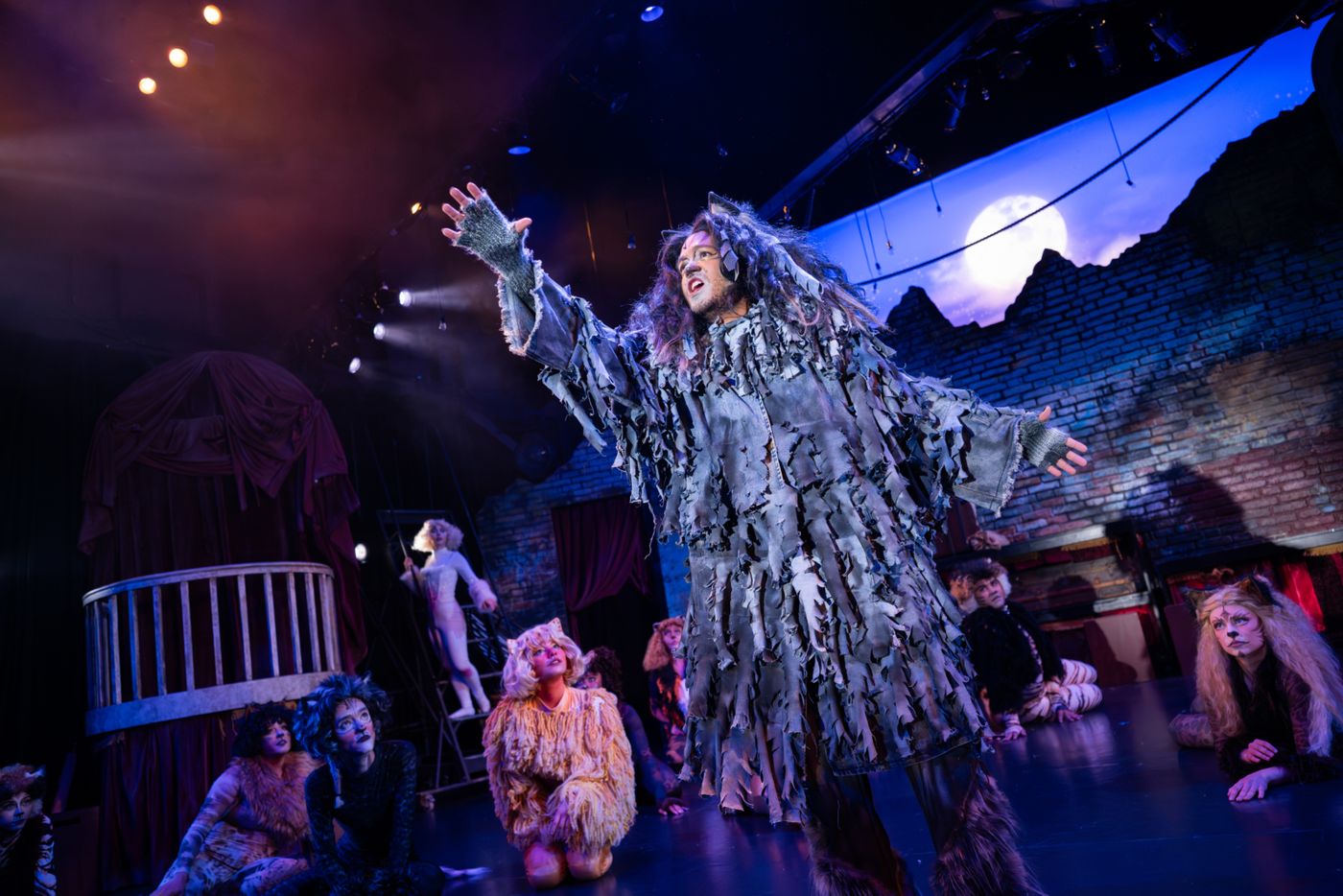 Photos: CATS At Berkeley Playhouse Image
