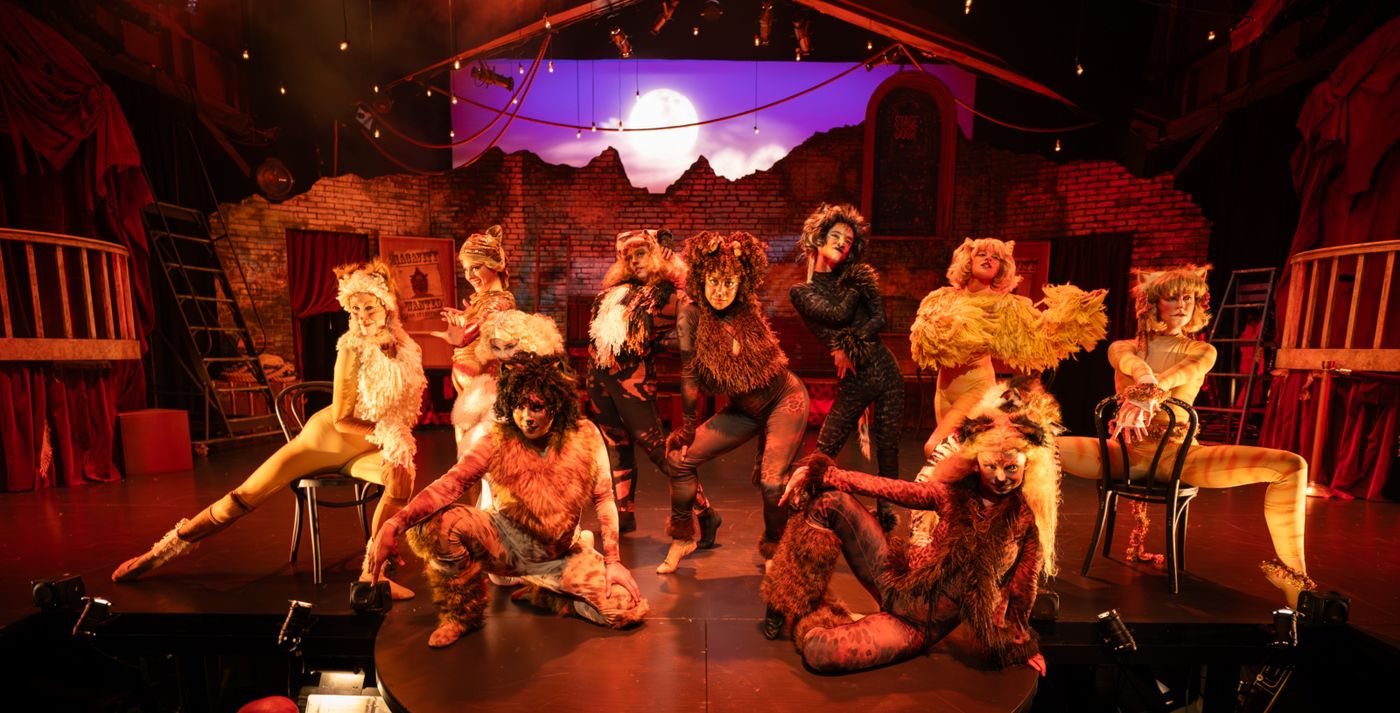 Photos: CATS At Berkeley Playhouse Image