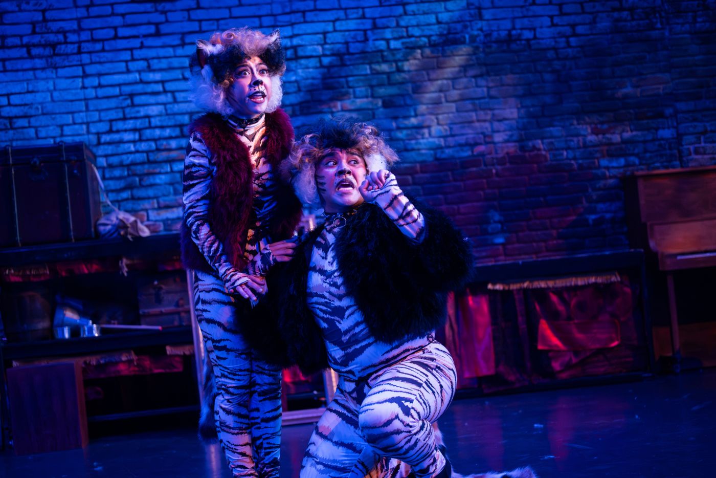Photos: CATS At Berkeley Playhouse Image