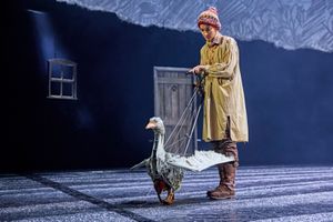 Goose, Felicity Donnelly Photo
