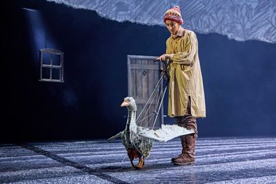 Goose, Felicity Donnelly Photo