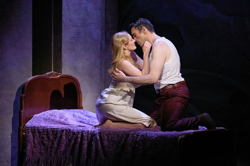 Review: THE LIGHT IN THE PIAZZA at Opera Theatre Of St. Louis Image
