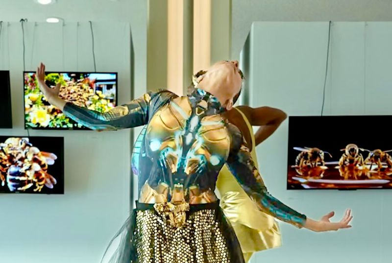 ANIMALS FOR SOCIAL JUSTICE Opens at the United Nations With Art, Dance, and Environmental Advocacy Image