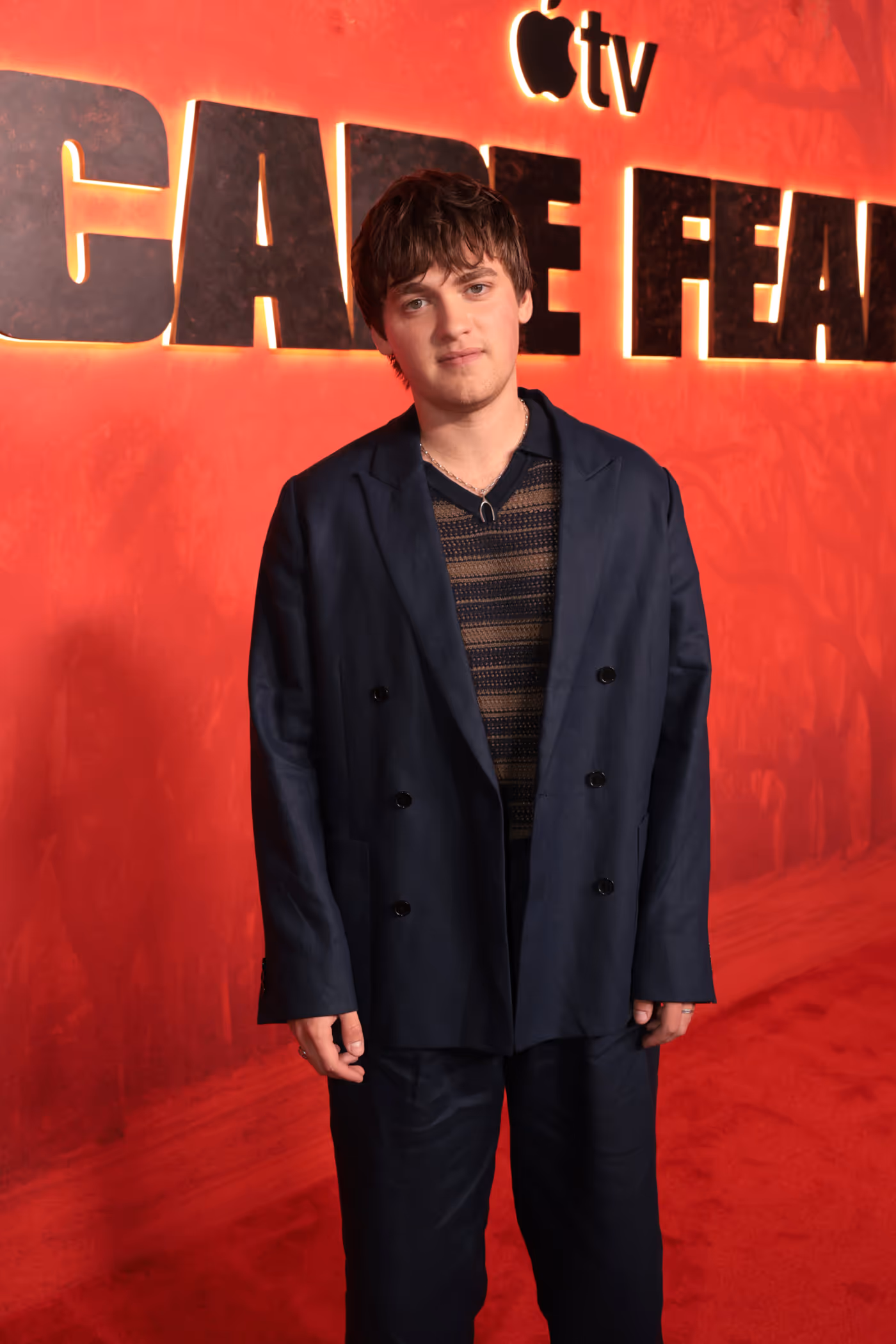 Photos: Amy Adams & CAPE FEAR Cast Dazzle at LA Premiere Image