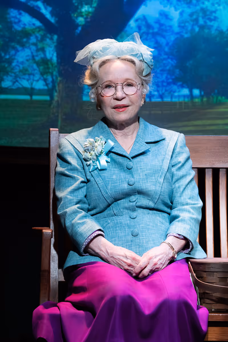 Review: DRIVING MISS DAISY at Barrington Stage Company Image