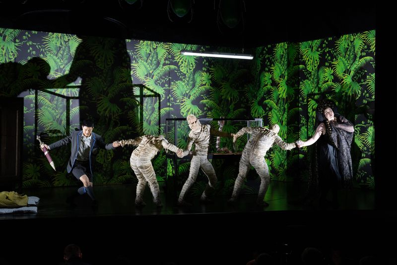 Review: GIULIO CESARE, The Grange Festival Image