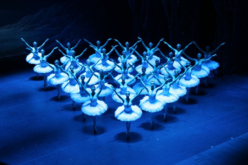 Photos: State Ballet of Georgia Performs SWAN LAKE Ahead of London Coliseum Return — photo 18 of 25