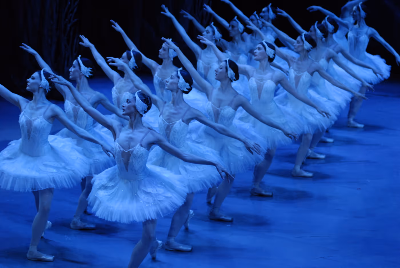 Photos: State Ballet of Georgia Performs SWAN LAKE Ahead of London Coliseum Return Image