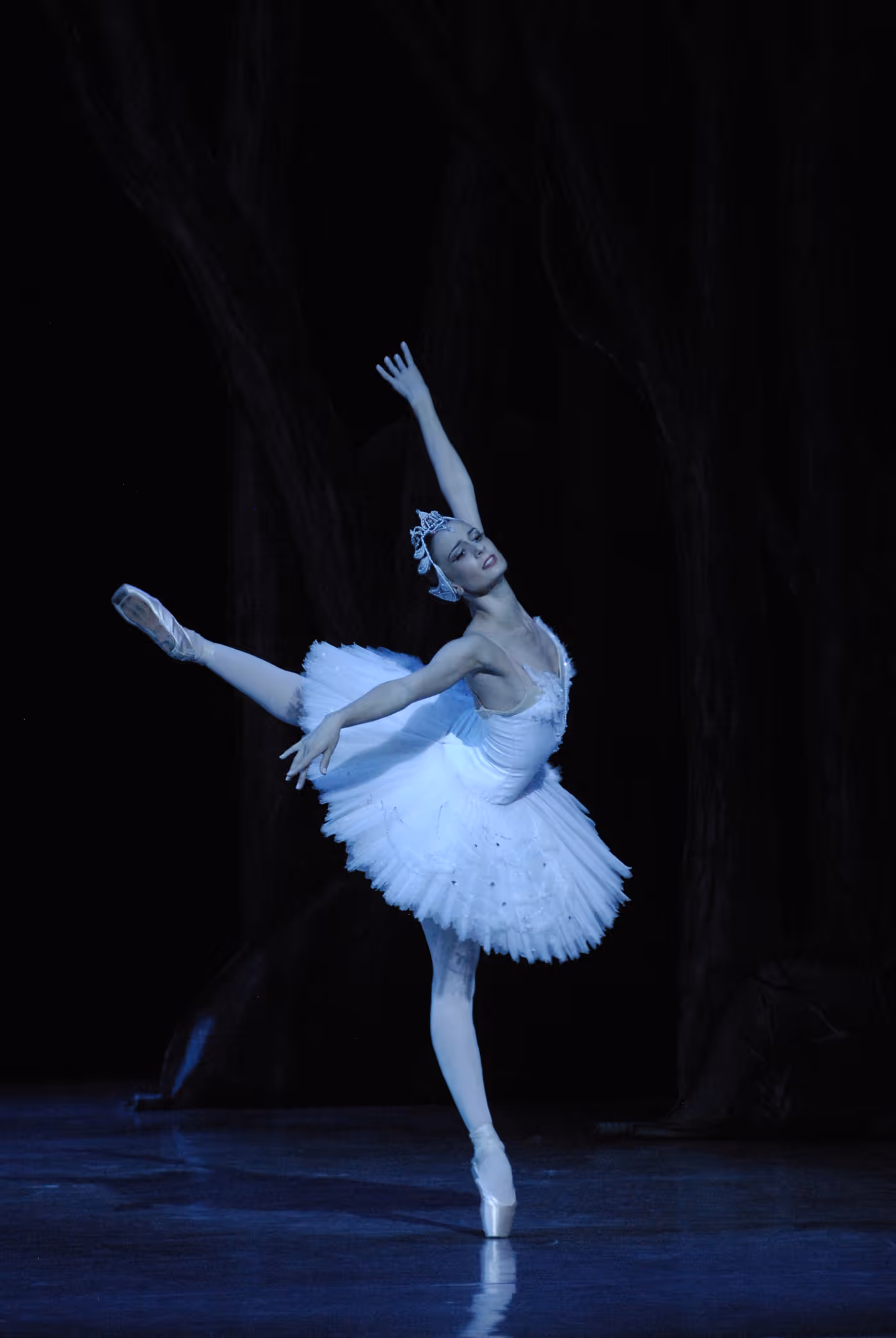 Photos: State Ballet of Georgia Performs SWAN LAKE Ahead of London Coliseum Return Image
