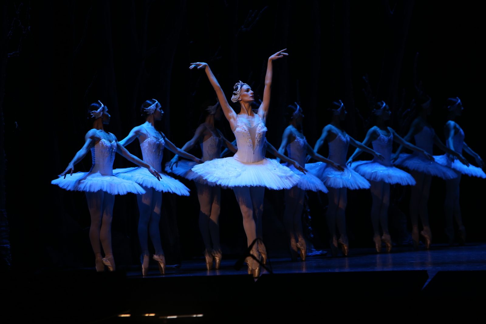 Photos: State Ballet of Georgia Performs SWAN LAKE Ahead of London Coliseum Return — photo 8 of 25