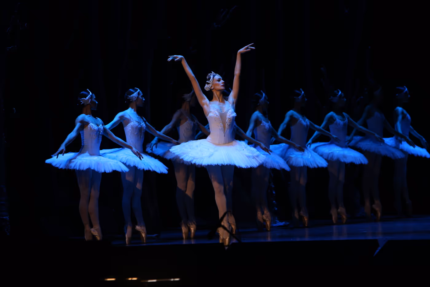 Photos: State Ballet of Georgia Performs SWAN LAKE Ahead of London Coliseum Return Image