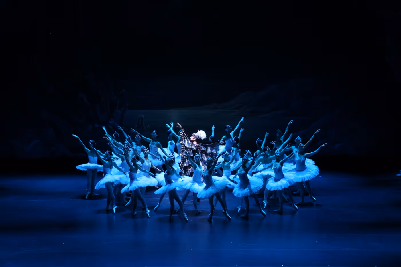 Photos: State Ballet of Georgia Performs SWAN LAKE Ahead of London Coliseum Return Image
