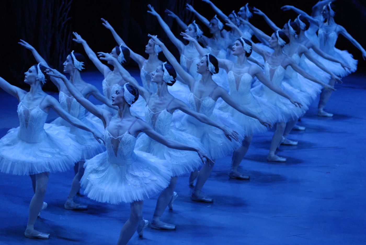 Photos: State Ballet of Georgia Performs SWAN LAKE Ahead of London Coliseum Return Image