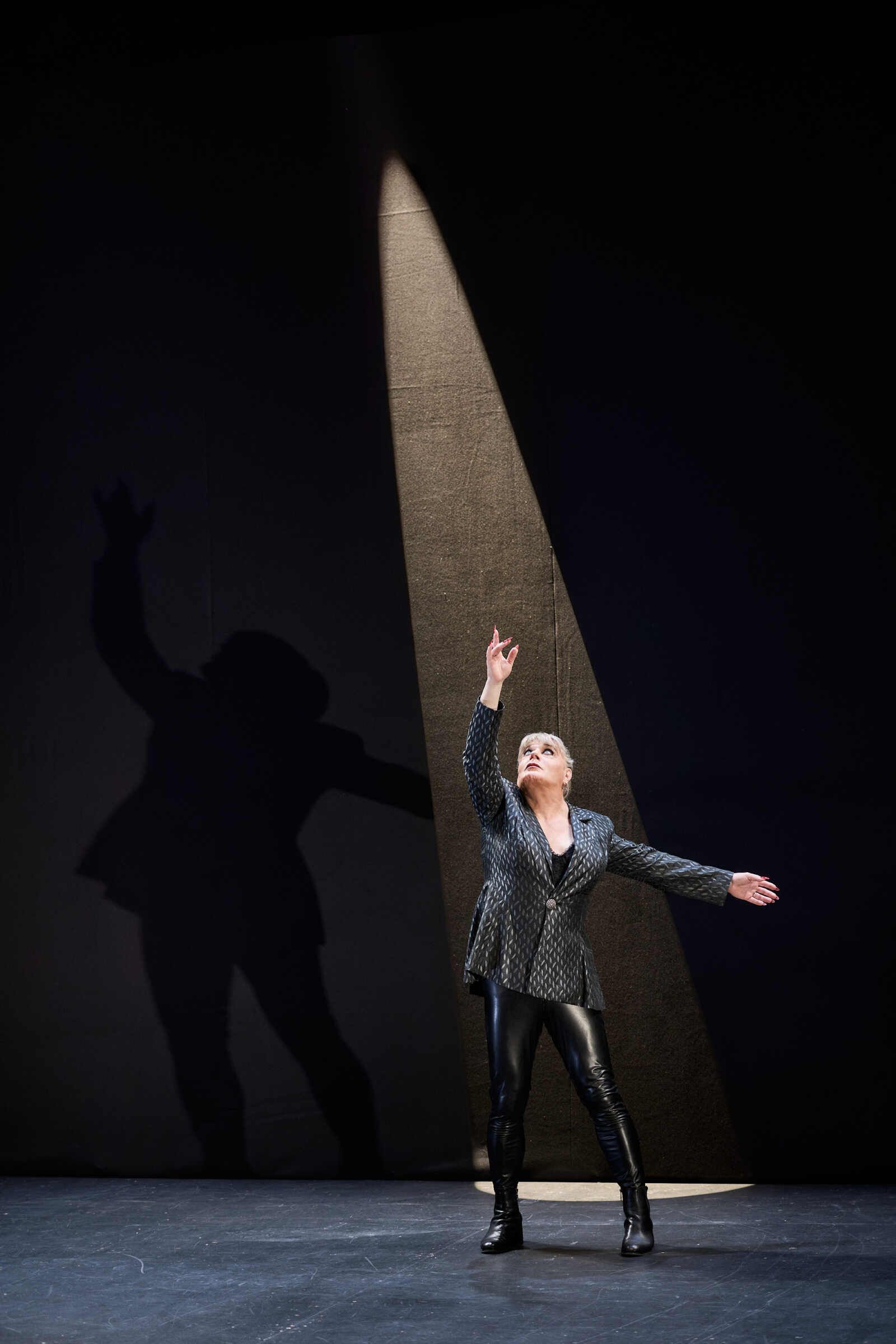 Photos: Eddie Izzard in THE TRAGEDY OF HAMLET at Sydney Opera House — photo 3 of 5