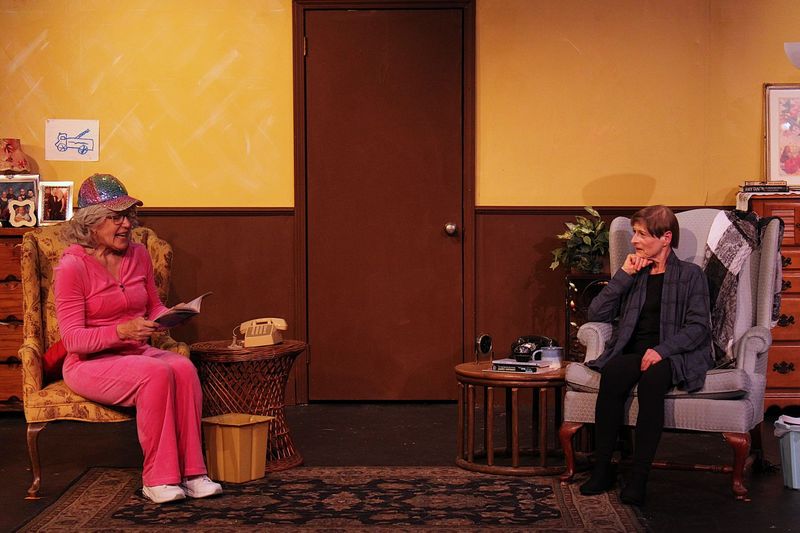 Review: RIPCORD at The Pocket Community Theatre in Hot Springs Image