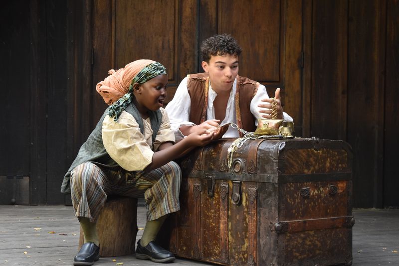 Interview: Director Ellen Geer on TREASURE ISLAND at Theatricum Botanicum Image