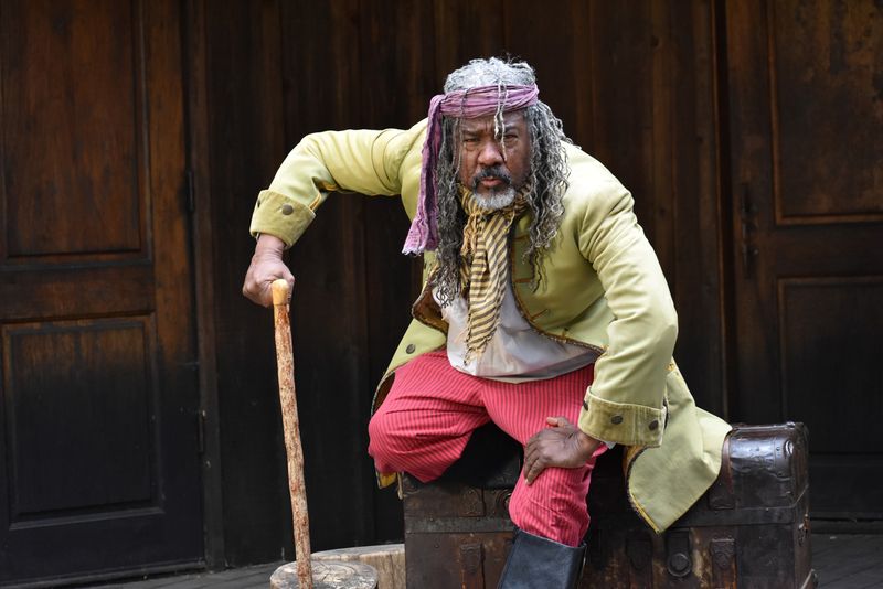 Interview: Director Ellen Geer on TREASURE ISLAND at Theatricum Botanicum Image