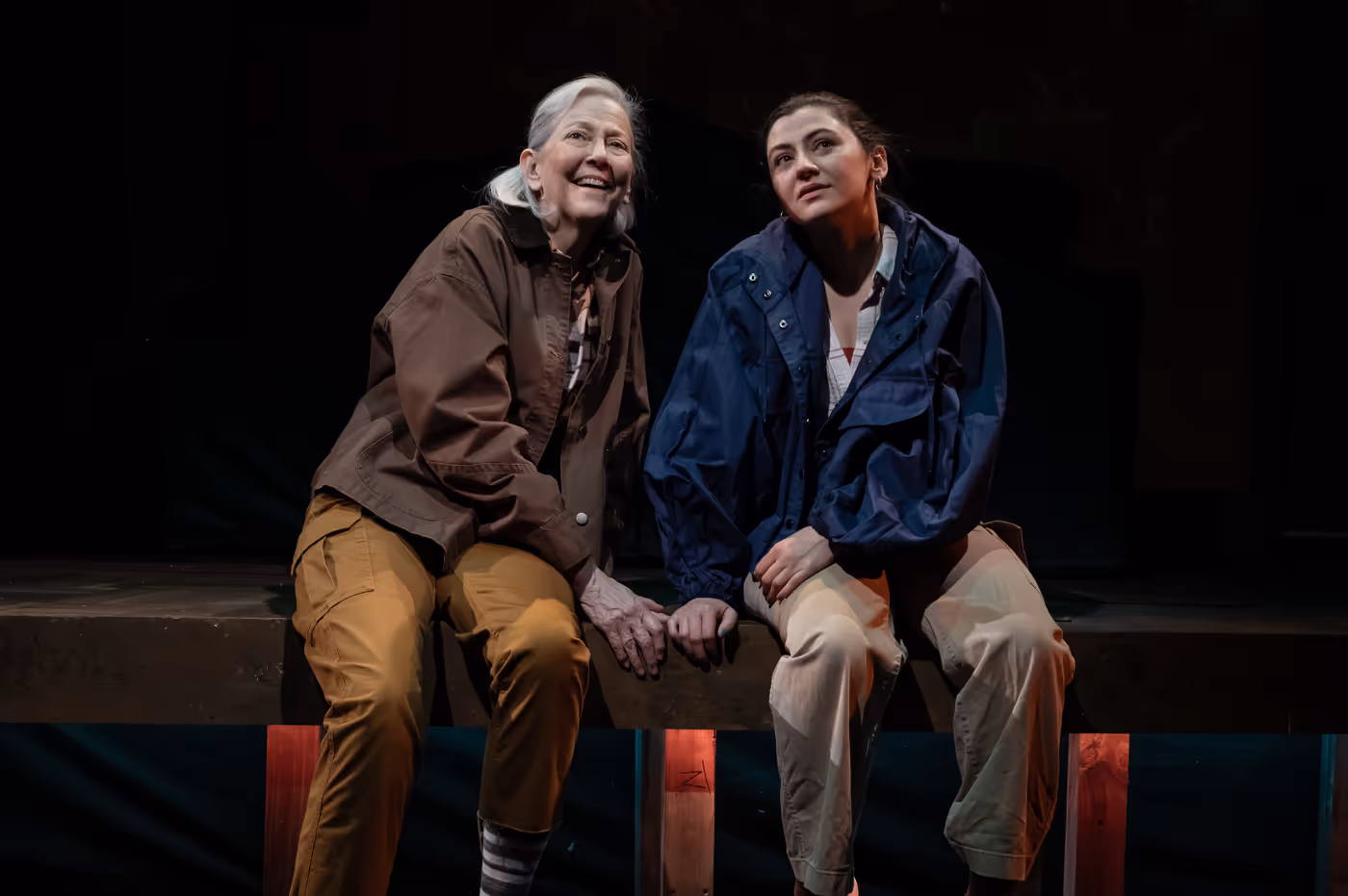 Review: PRECARIOUS at Mosaic Theater Company Image