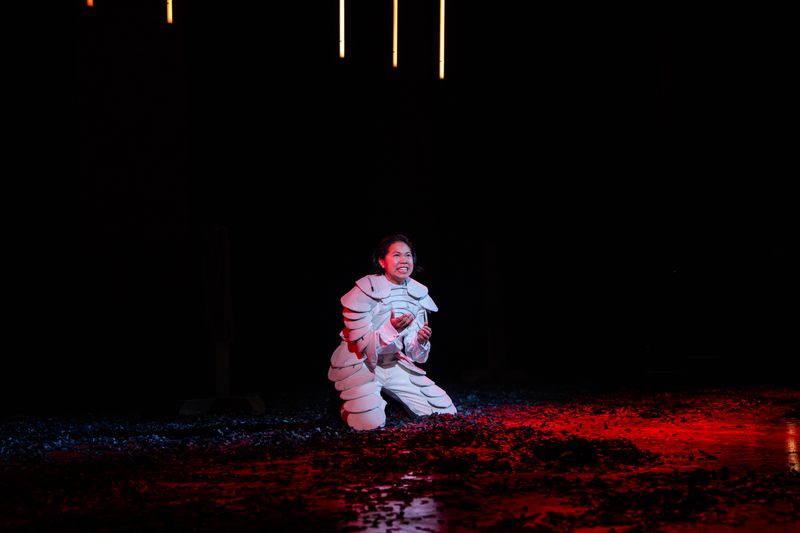 Photos: First Look at NAATCO's HENRY VI: A TRILOGY IN TWO PARTS At The Public Theater — photo 13 of 14