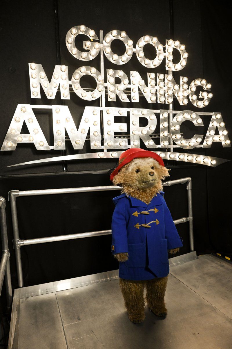 Video/Photos: PADDINGTON Visits GOOD MORNING AMERICA for Broadway Announcement Image