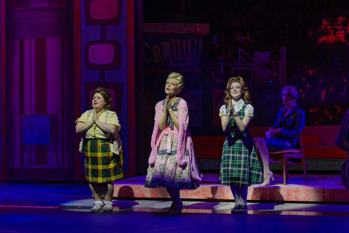 Photos: First Look at The Muny's HAIRSPRAY With Richard Kind & More Image