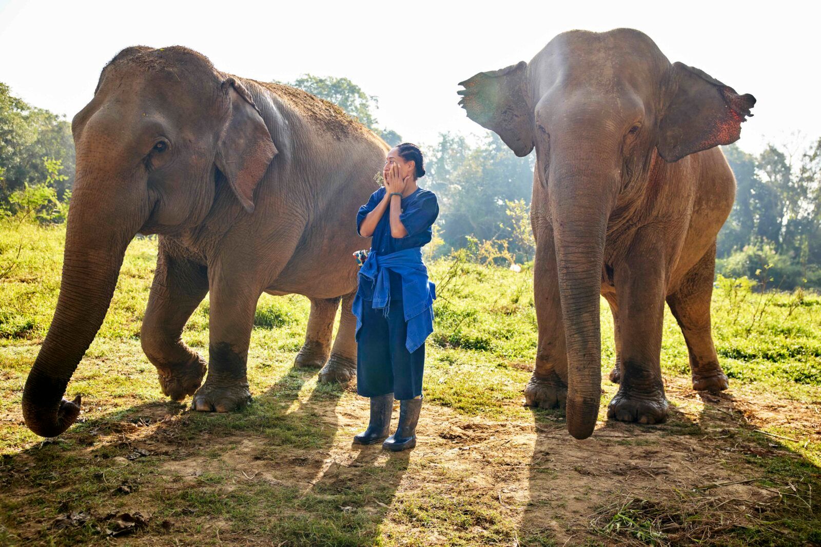 Photos: First Look at SOLO TRAVELING WITH TRACEE ELLIS ROSS Season 2 Image