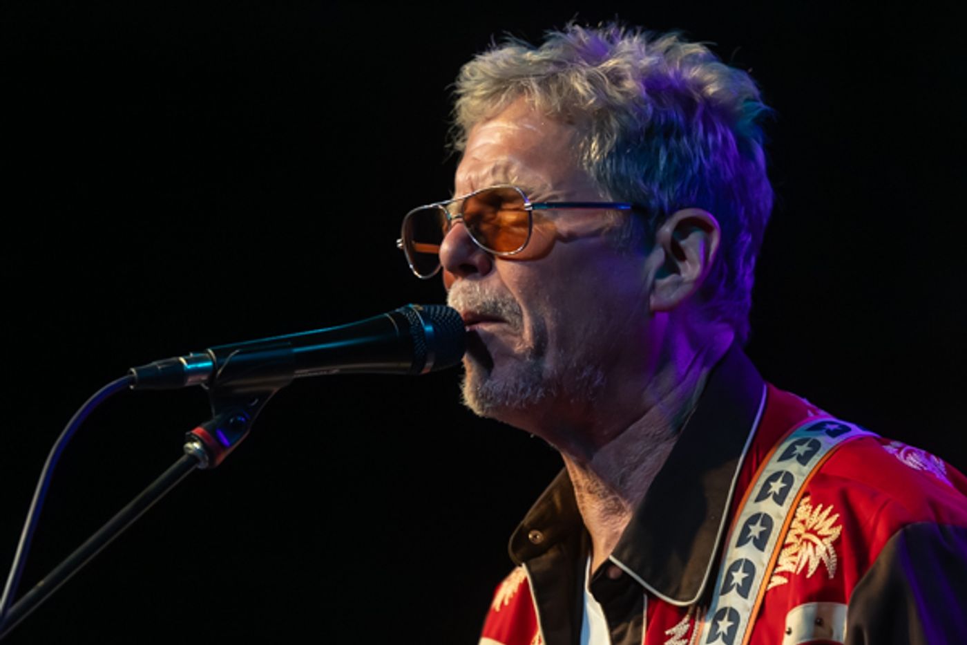 Photos: Inside Mount Vernon Arts Consortium and Ariel-Foundation Park presented The Jayhawks Image