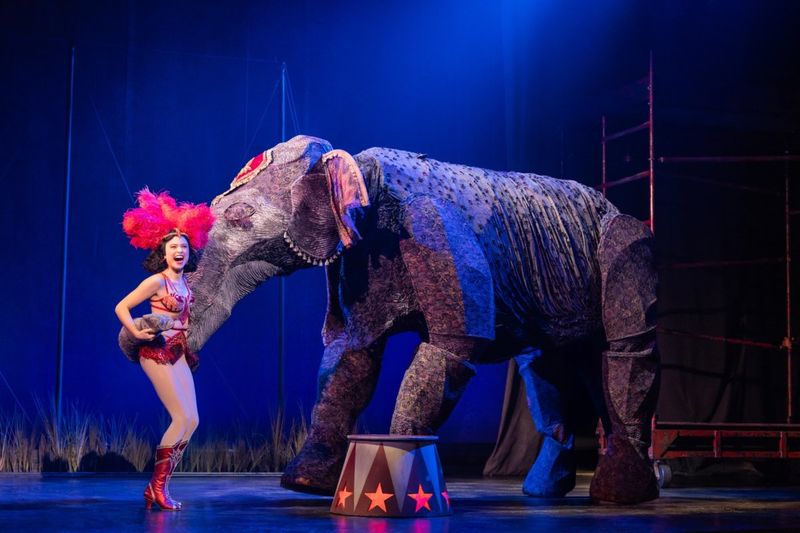 Interview: Paige Parkhill, Associate Choreographer of WATER FOR ELEPHANTS at CAA Ed Mirvish Theatre Image