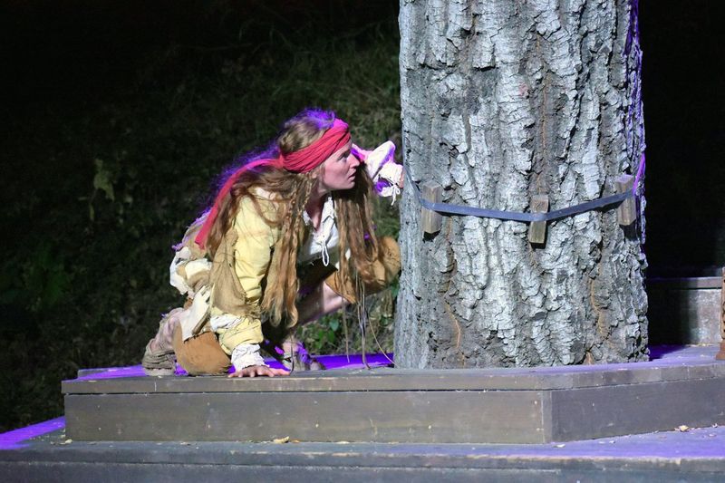 Review: TREASURE ISLAND at Will Geer Theatricum Botanicum Image