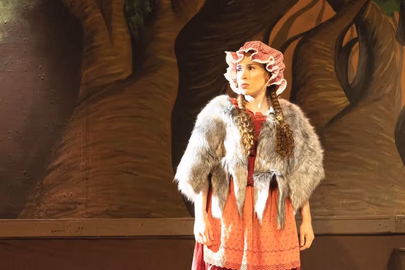 Review: INTO THE WOODS at The Merrick Theatre And Center For The Arts Image