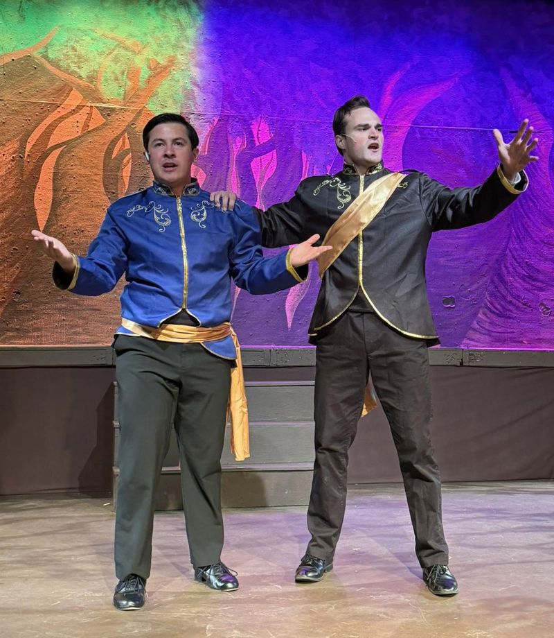 Review: INTO THE WOODS at The Merrick Theatre And Center For The Arts Image